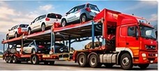 Bike and car transportation